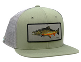 Rep Your Water Big Brookie Hat