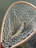 Rod & Rivet Landing Net